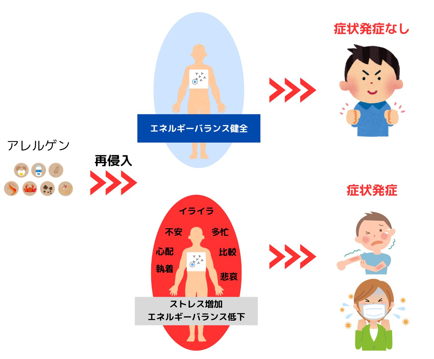 アレルギーにストレスが関係する図