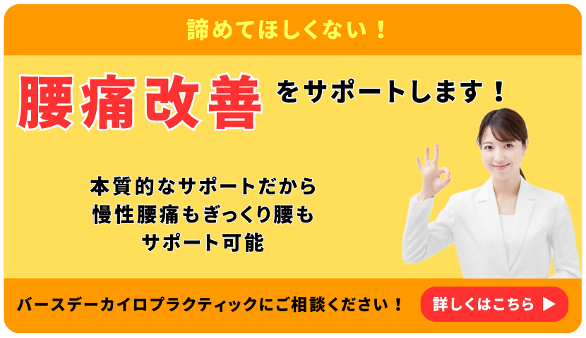 腰痛改善は栃木県佐野市バースデーカイロプラクティックへ