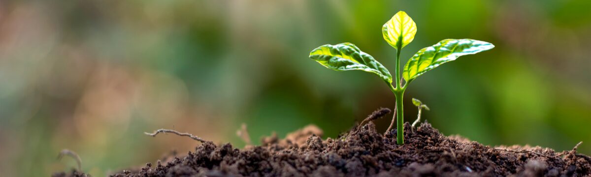 佐野市バースデーカイロプラクティック症状一覧