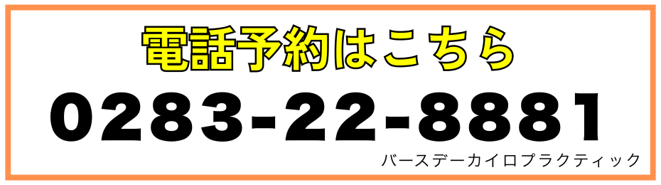 佐野市バースデーカイロに電話で予約・相談する