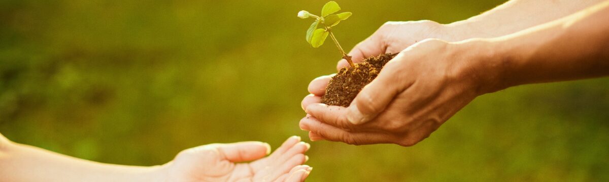 初回来院前に予約者が読むページ