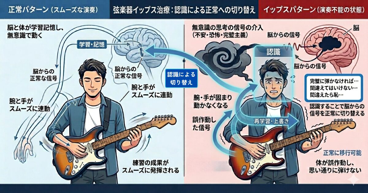 弦楽器イップス治療メカニズム図解