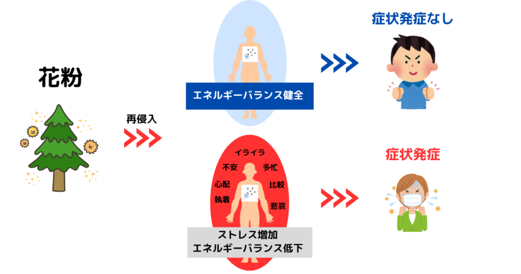 花粉暴露後の症状発症の違いの画像説明