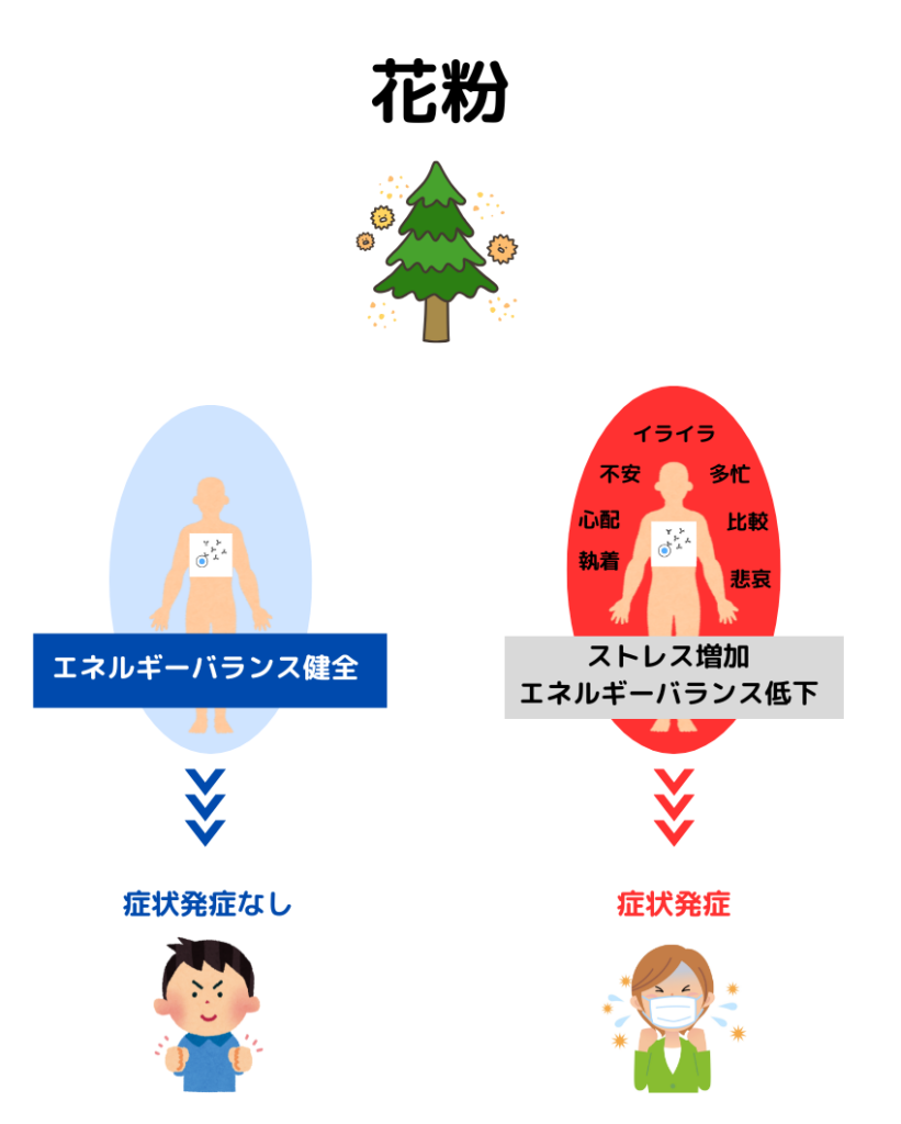 花粉暴露後の症状発症の違いの画像説明